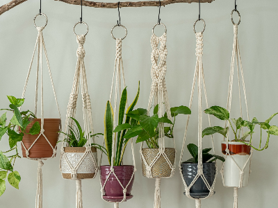 Macrame 101: Plant Hangers